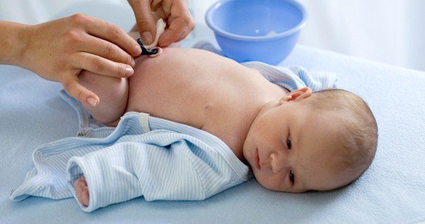 El cordón umbilical recibe las sustancias de nutrición para el bebé