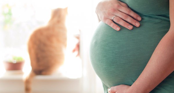 Embarazada y gato