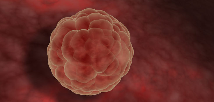 La implantación del ovario fecundad en el útero puede romper algunos vasos sanguíneos