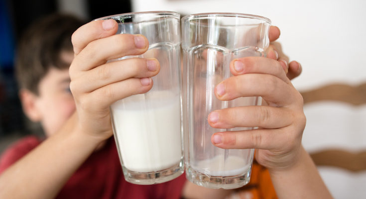 El niño sólo debería tomar leche desnatada si el pediatra lo pide porque tenga obesidad