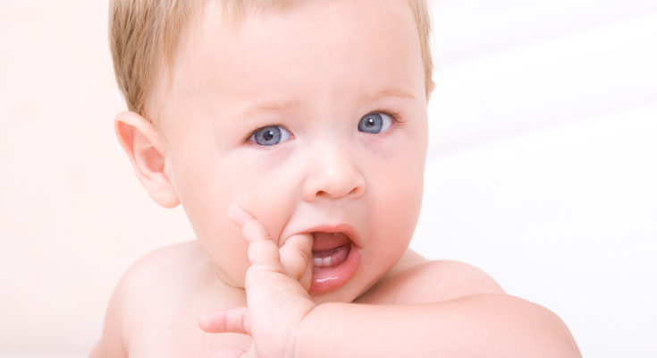 Existen muchos tipos de cepillos adaptados para bebés