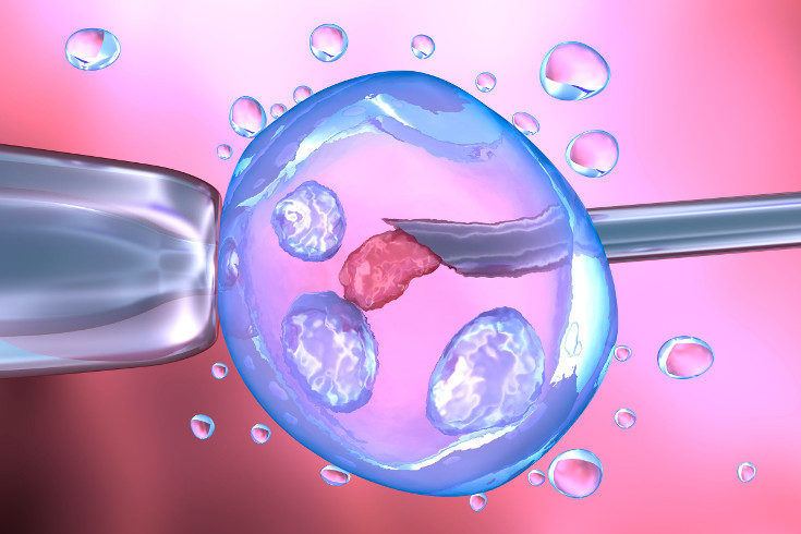 La inseminación artificial es diferente a la fecundación in vitro