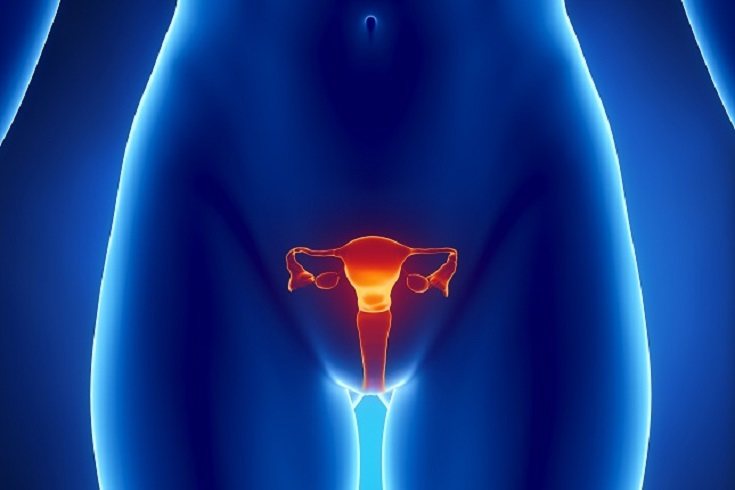 El útero o matriz es una estructura muscular 