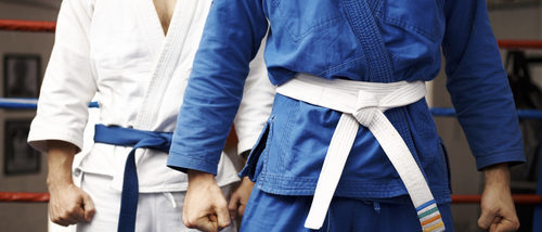 Actividades extraescolares: judo, kárate y taekwondo
