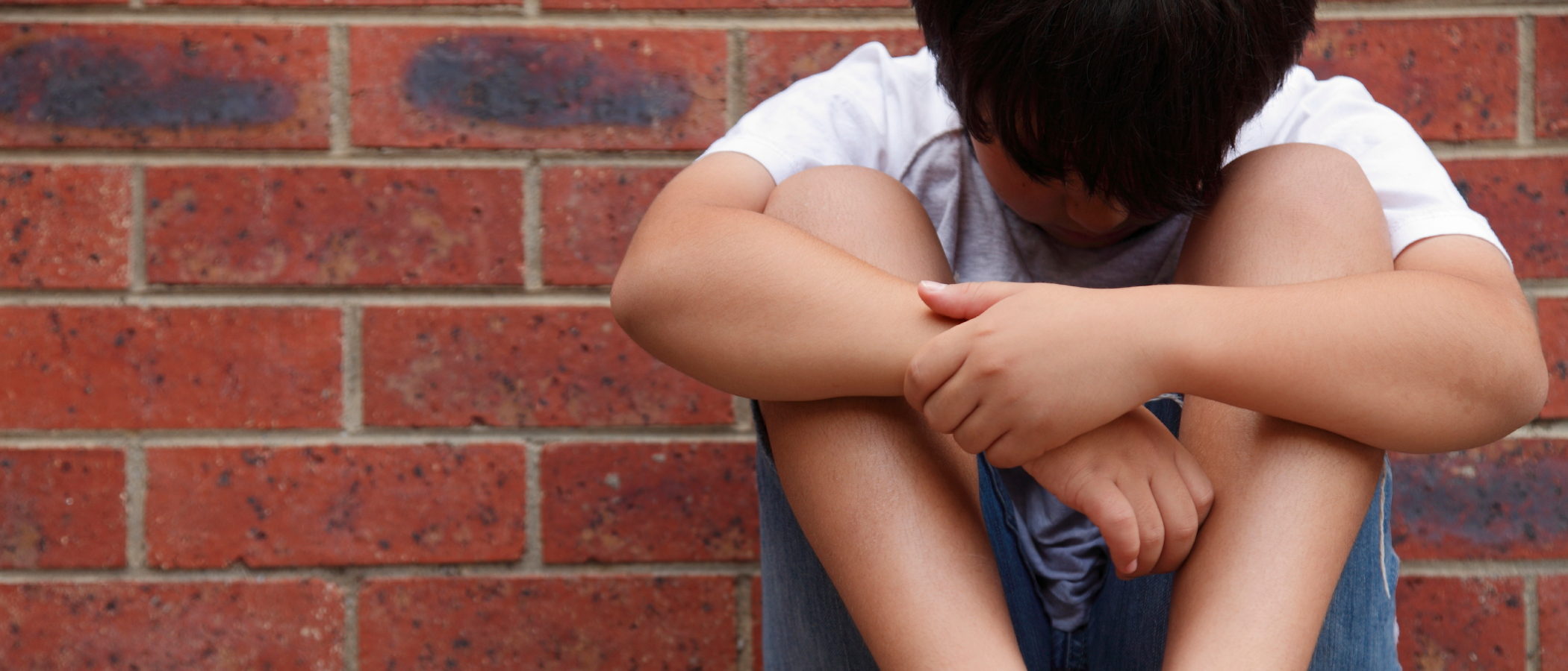 ¿Por qué hay niños que hacen bullying?