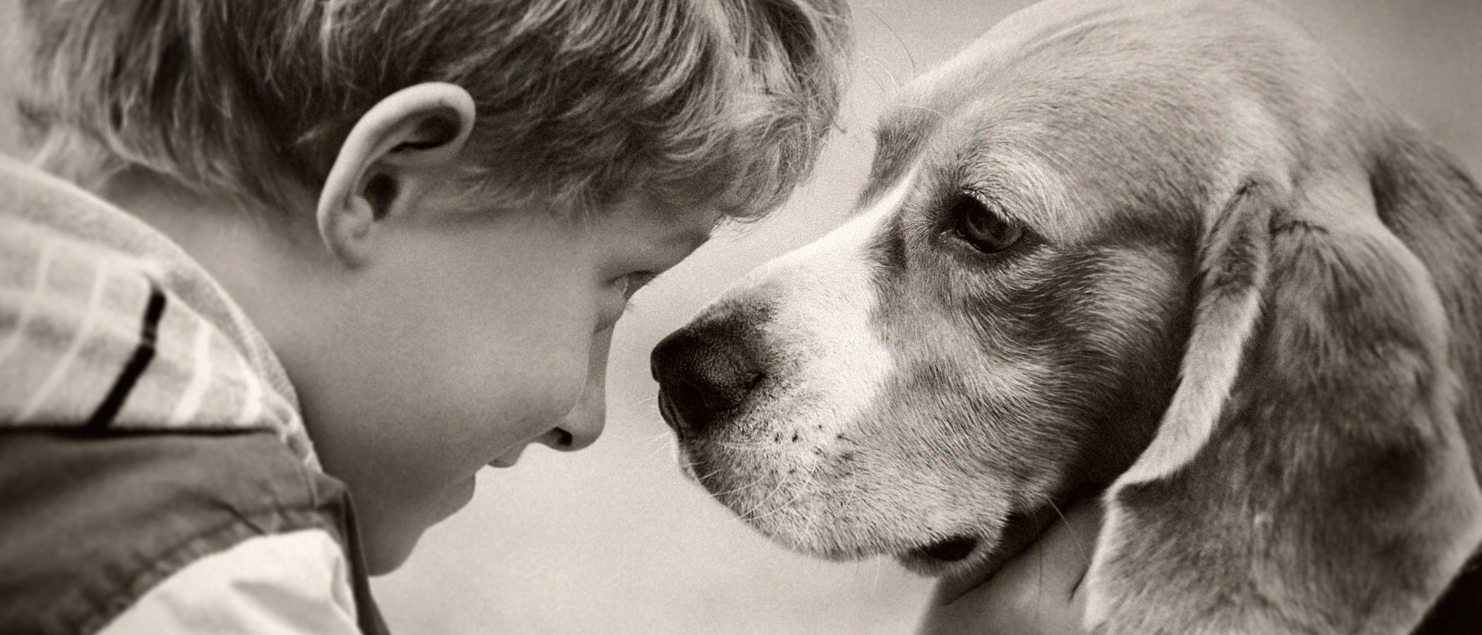 Cómo ayudar a un niño a afrontar la muerte de su mascota