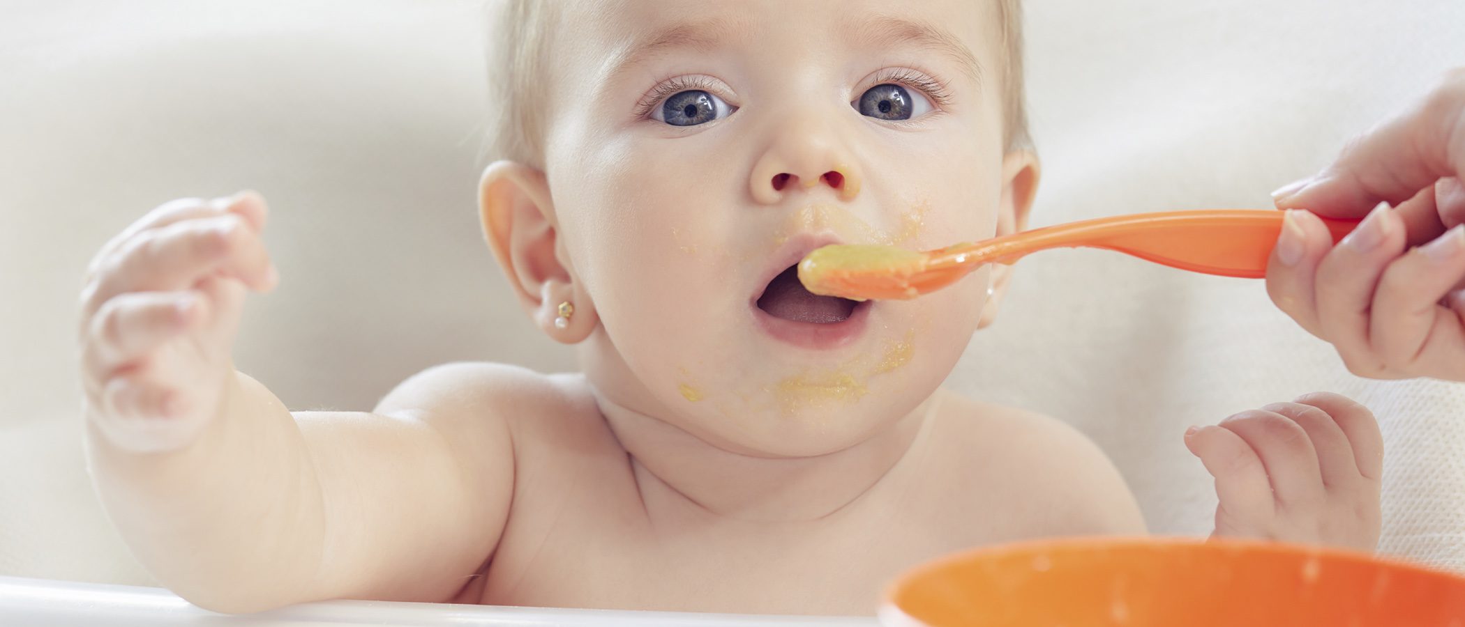 Cómo introducir la carne en la dieta de los bebés