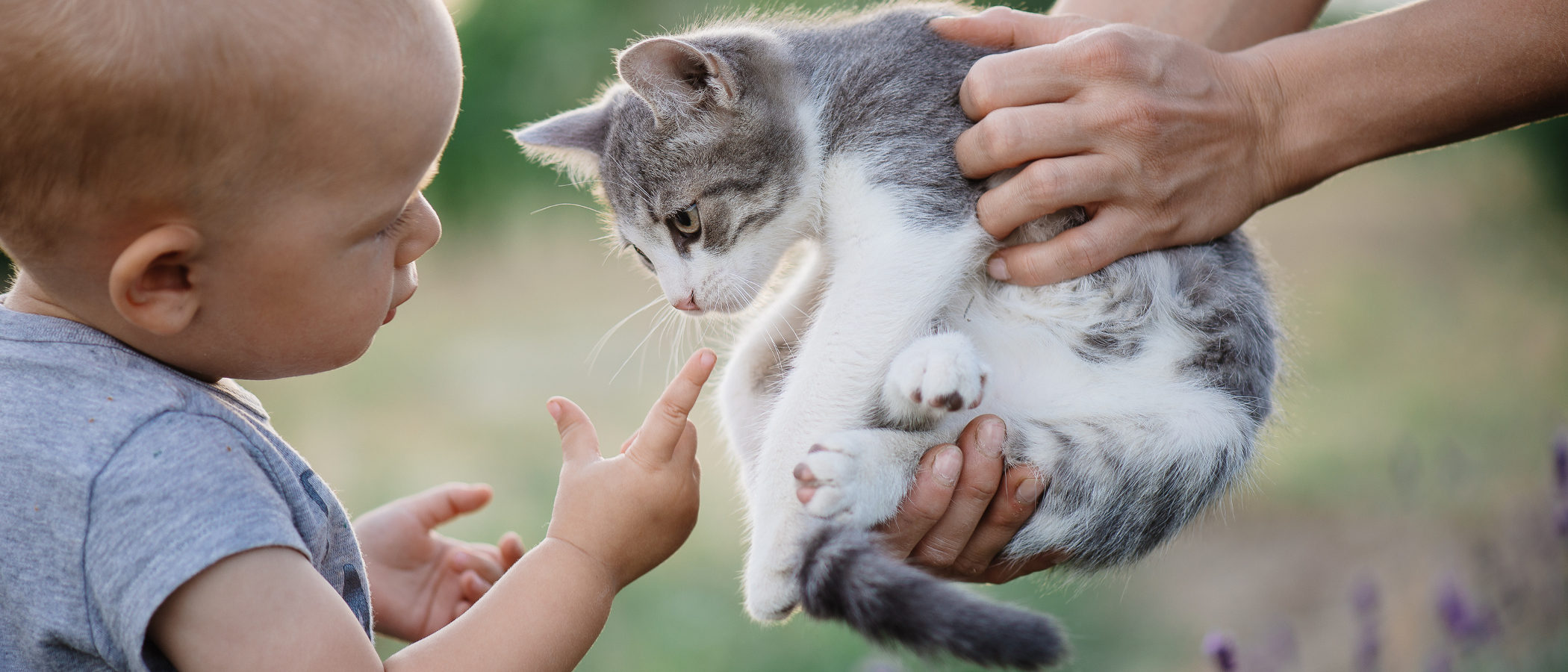 7 consejos para que tu bebé y tu gato convivan y sean grandes amigos