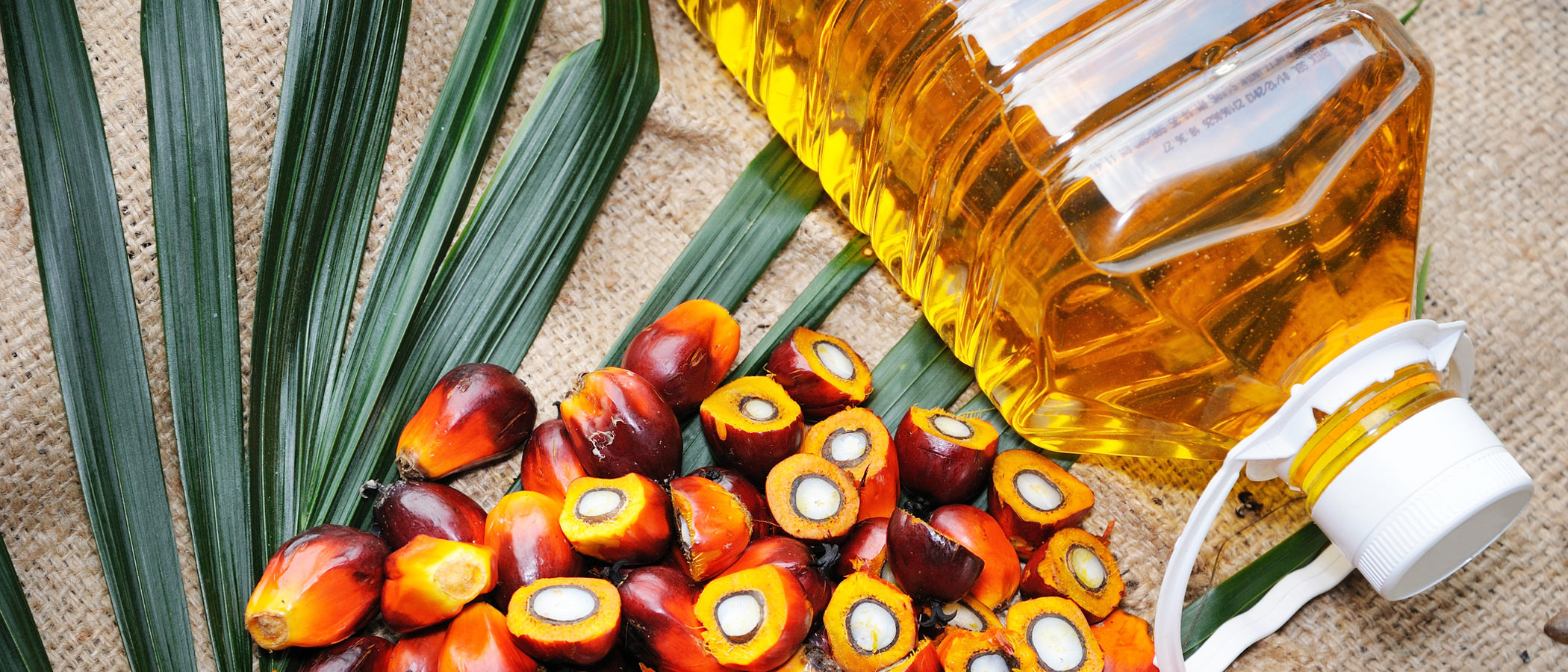 El aceite de palma en la alimentación de los niños, ¿qué efectos tiene?