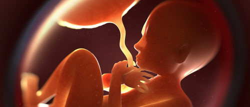 ¿Qué es tener placenta previa en el embarazo?