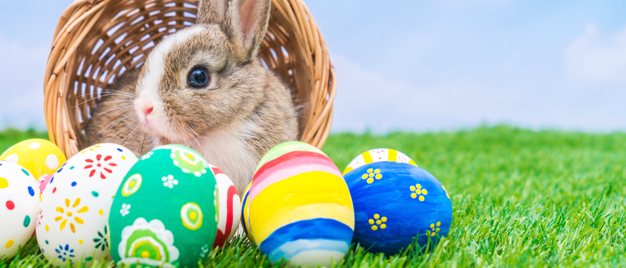 La historia del conejo de Pascua