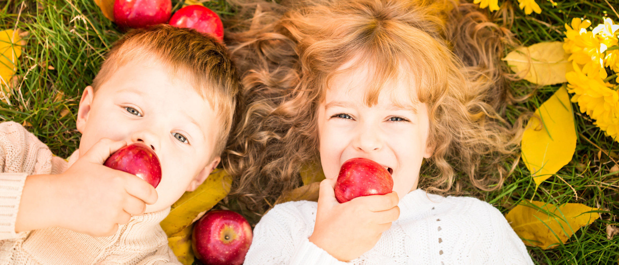 Las frutas de temporada recomendadas para los niños en otoño
