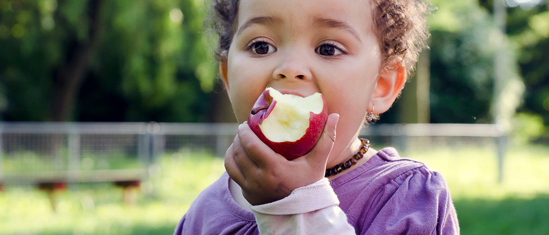 ¿Debemos obsesionarnos con el tipo de alimentos que damos a los niños?