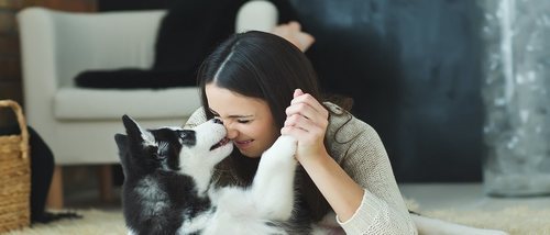 Las 5 mejores razas de perros para tu familia