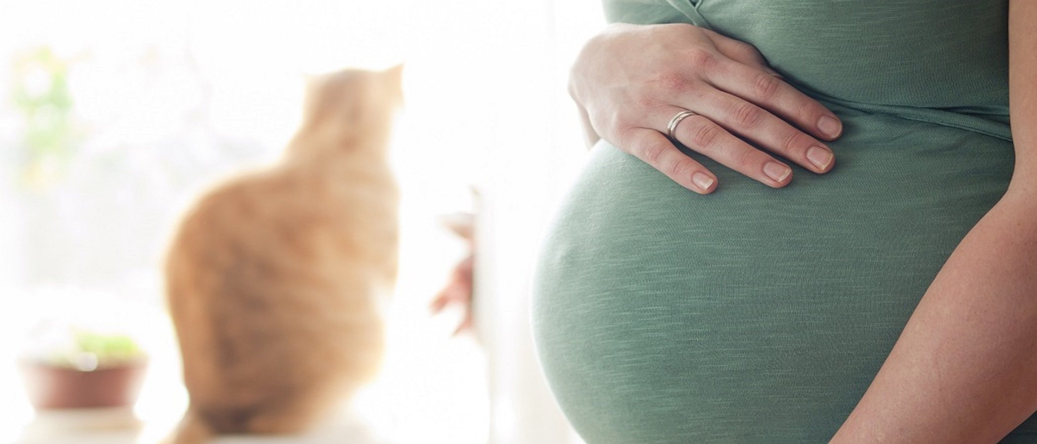 6 tipos personas que debes evitar en tu embarazo