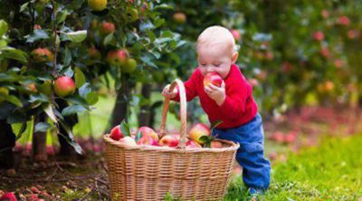 Las frutas más recomendadas para niños pequeños