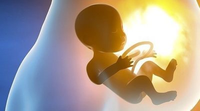 ¿Lloran los bebés en el útero?
